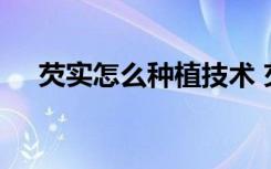 芡实怎么种植技术 芡实的种植技术介绍