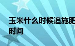 玉米什么时候追施肥最好 玉米追施肥最好的时间