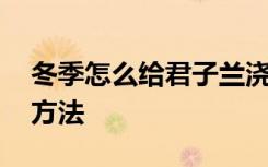 冬季怎么给君子兰浇水 冬季给君子兰浇水的方法