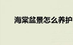 海棠盆景怎么养护 海棠盆景正确养护