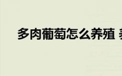 多肉葡萄怎么养殖 养殖多肉葡萄的方法