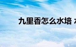 九里香怎么水培 水培九里香的方法