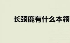 长颈鹿有什么本领 长颈鹿的本领分析