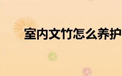 室内文竹怎么养护 室内文竹如何养护