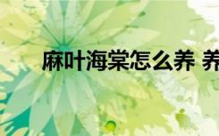 麻叶海棠怎么养 养殖麻叶海棠的方法