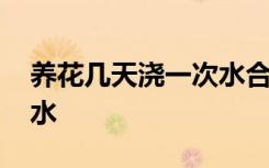 养花几天浇一次水合适 养花多长时间浇一次水