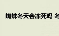 蜘蛛冬天会冻死吗 冬天能不能把蜘蛛冻死