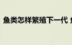 鱼类怎样繁殖下一代 鱼类繁殖下一代的方法