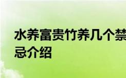 水养富贵竹养几个禁忌 水养富贵竹养几个禁忌介绍