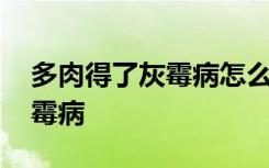 多肉得了灰霉病怎么办 如何解决多肉得了灰霉病