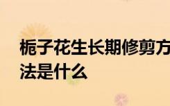 栀子花生长期修剪方法 栀子花生长期修剪方法是什么