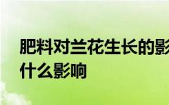 肥料对兰花生长的影响 肥料对兰花的生长有什么影响