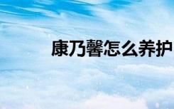 康乃馨怎么养护 康乃馨如何养护