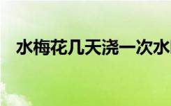 水梅花几天浇一次水啊 水梅花浇水的时间