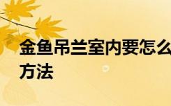 金鱼吊兰室内要怎么种植 金鱼吊兰室内种植方法