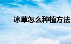 冰草怎么种植方法 冰草如何种植方法