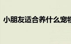 小朋友适合养什么宠物 小朋友适合养的宠物