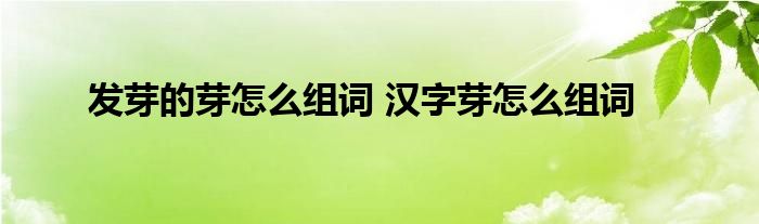 发芽的芽怎么组词汉字芽怎么组词 东南教育网