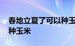 春地立夏了可以种玉米吗 春地立夏了能不能种玉米