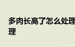 多肉长高了怎么处理方法 多肉长高了怎么处理