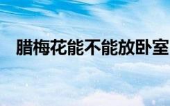 腊梅花能不能放卧室 腊梅花可以放卧室吗