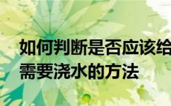 如何判断是否应该给多肉浇水 判断多肉是否需要浇水的方法