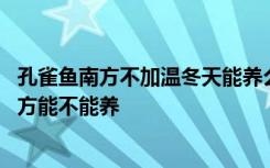 孔雀鱼南方不加温冬天能养么 孔雀鱼南方不加温的情况下北方能不能养