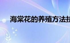 海棠花的养殖方法技巧 如何养殖海棠花