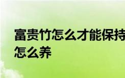 富贵竹怎么才能保持青绿啊 富贵竹保持青绿怎么养