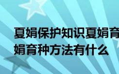 夏娟保护知识夏娟育种方法 夏娟保护知识夏娟育种方法有什么