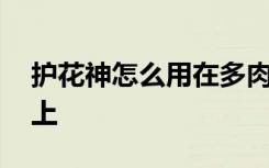 护花神怎么用在多肉上 护花神如何用在多肉上