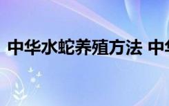 中华水蛇养殖方法 中华水蛇养殖方法是什么