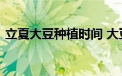 立夏大豆种植时间 大豆种植时间是什么时候