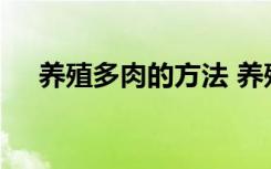 养殖多肉的方法 养殖多肉的方法有哪些