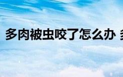 多肉被虫咬了怎么办 多肉被虫咬了如何处理