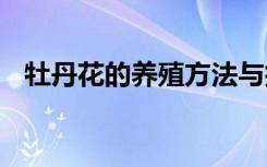 牡丹花的养殖方法与技巧 牡丹花怎么养殖