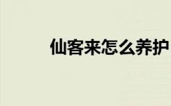 仙客来怎么养护 仙客来养护方法