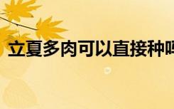 立夏多肉可以直接种吗 立夏多肉能直接种吗