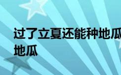 过了立夏还能种地瓜吗 过了立夏能不能种植地瓜