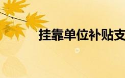 挂靠单位补贴支出以下内容正确