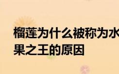 榴莲为什么被称为水果之王 榴莲会被称为水果之王的原因