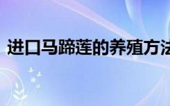 进口马蹄莲的养殖方法 进口马蹄莲如何养殖