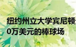 纽约州立大学宾尼顿分校建造了一个耗资6000万美元的棒球场