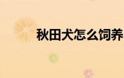 秋田犬怎么饲养 秋田犬如何饲养