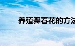 养殖舞春花的方法 如何养殖舞春花