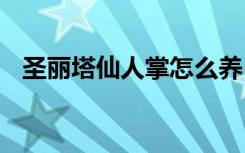 圣丽塔仙人掌怎么养 圣丽塔仙人掌如何养