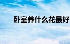 卧室养什么花最好 卧室养哪些花最好