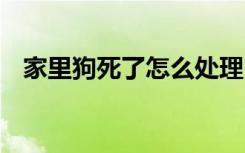 家里狗死了怎么处理 家里狗死了如何处理