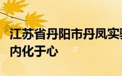 江苏省丹阳市丹凤实验小学泥塑龙将龙文化等内化于心