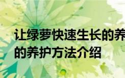 让绿萝快速生长的养护方法 让绿萝快速生长的养护方法介绍